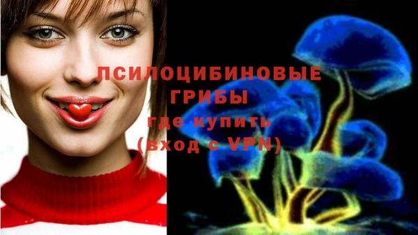 первитин Алексеевка