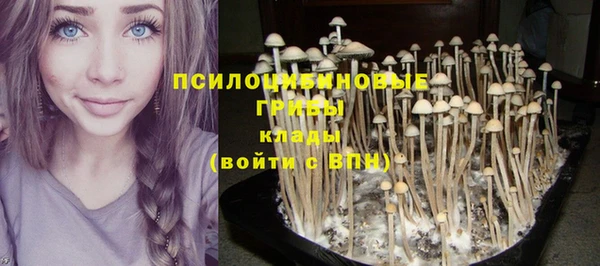 первитин Алексеевка
