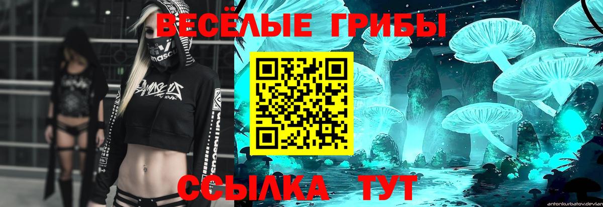 Галлюциногенные грибы Psilocybe  Вход с VPN  Южно-Сахалинск 